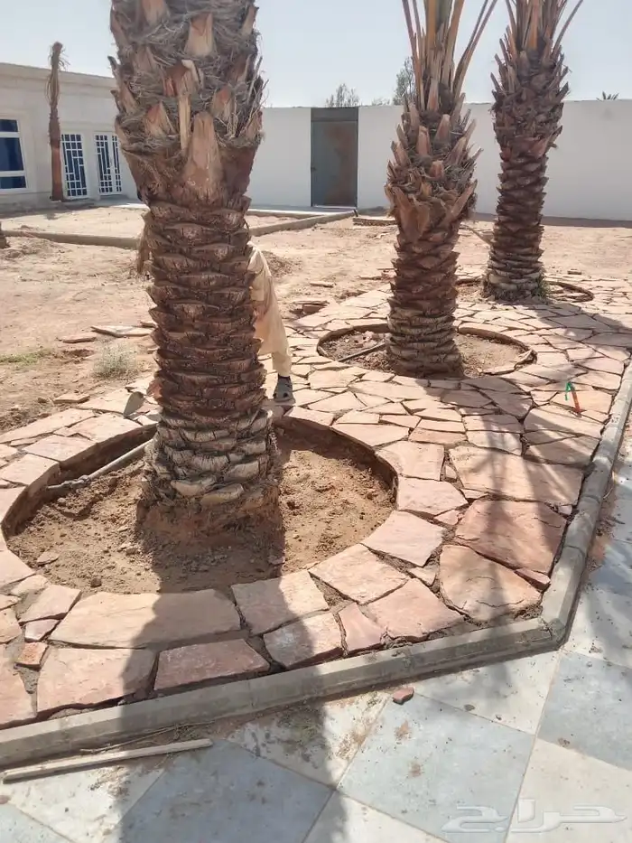 مقوال حجر طبيعي 5