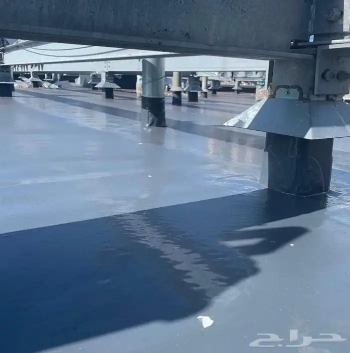 مونوسيل 1