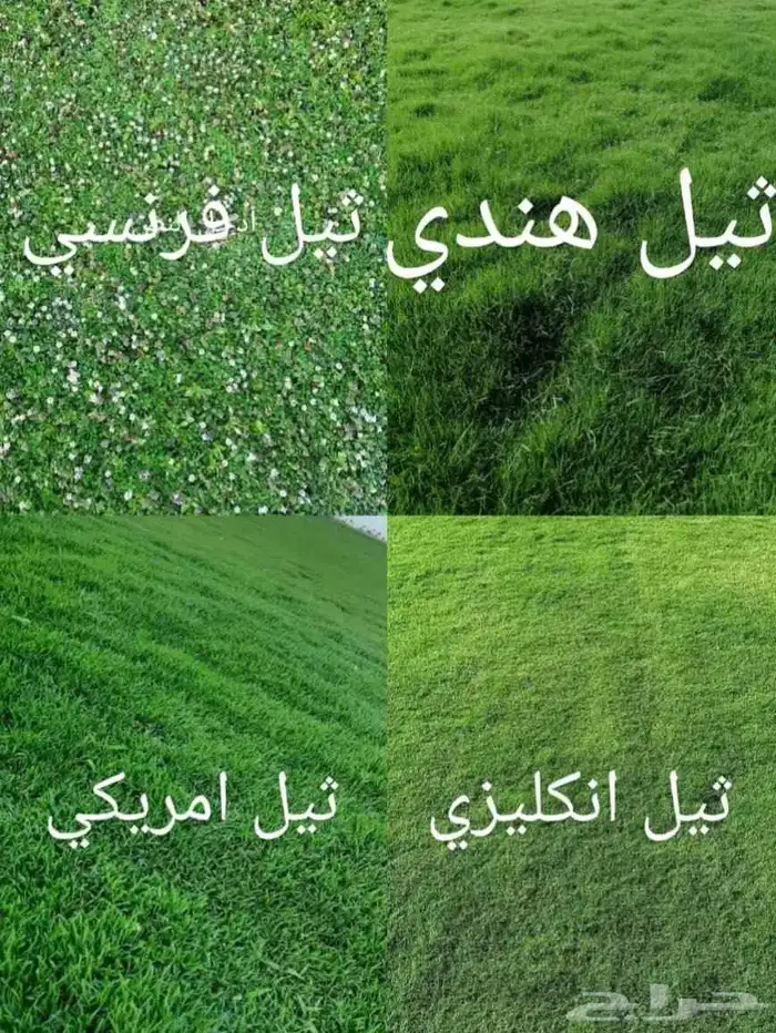 تنسيق حدائق اشجار جلسات احواض زرعيه شلالات مجلس زجاج 2