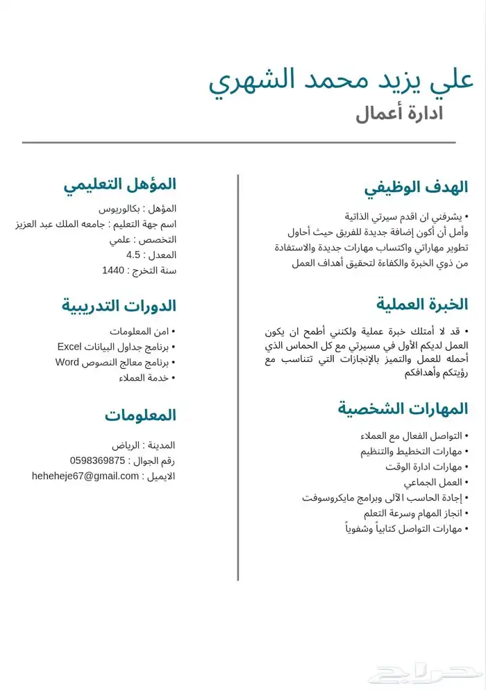 سيره ذاتيه احترافيه 0