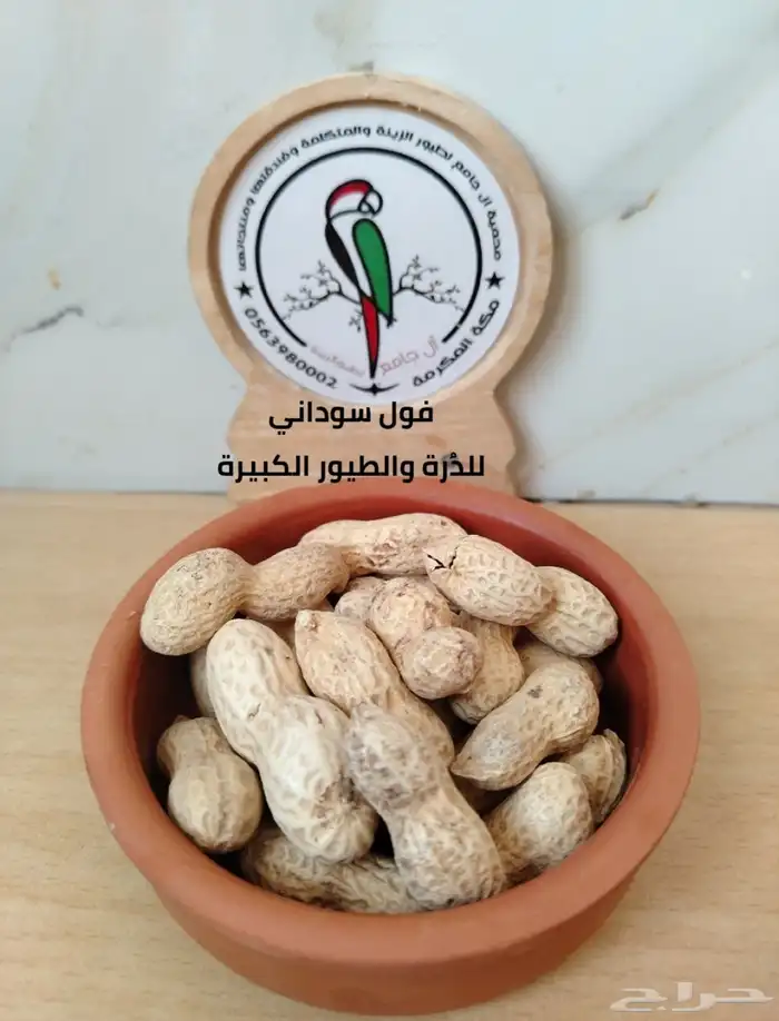 أكل وحبوب ومشكل ببغاوات 5