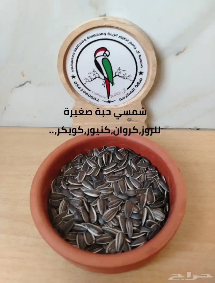أكل وحبوب ومشكل ببغاوات 1