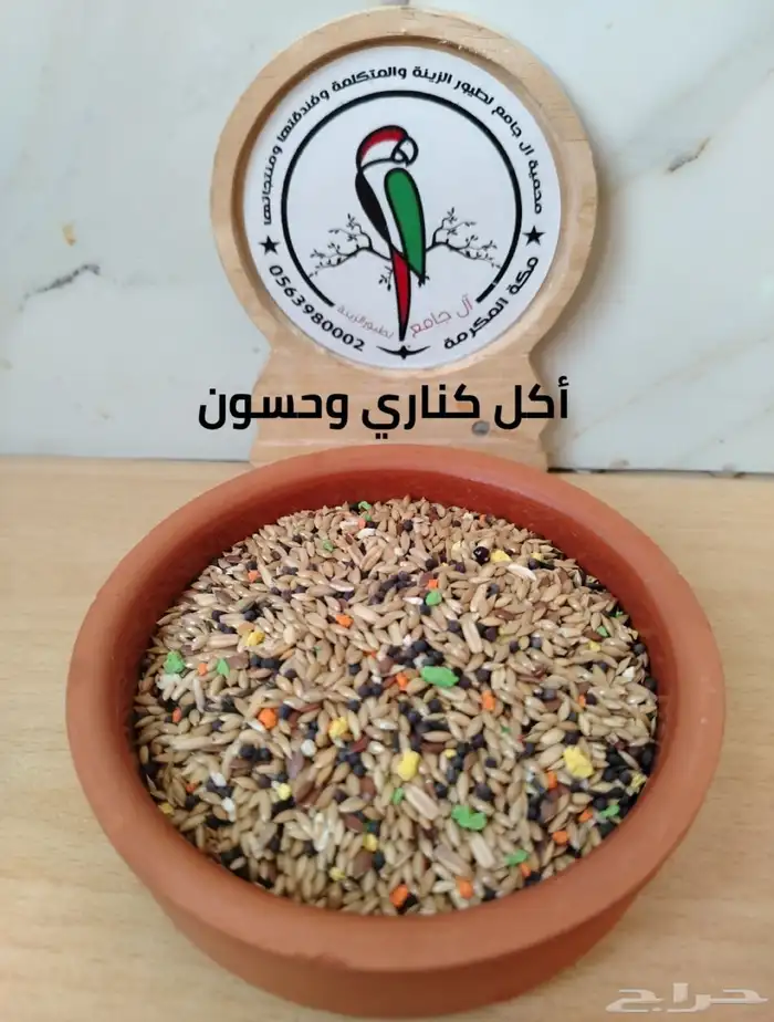 أكل وحبوب ومشكل ببغاوات 8