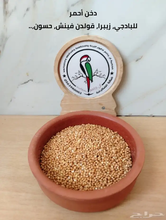 أكل وحبوب ومشكل ببغاوات 3