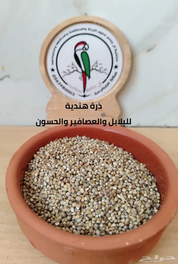 أكل وحبوب ومشكل ببغاوات 7