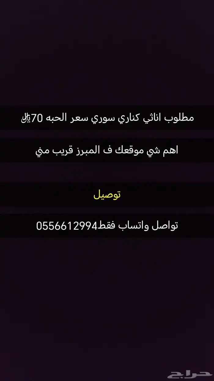 مطلوب كناري سوري اناثي تواصل واتساب فقط 0