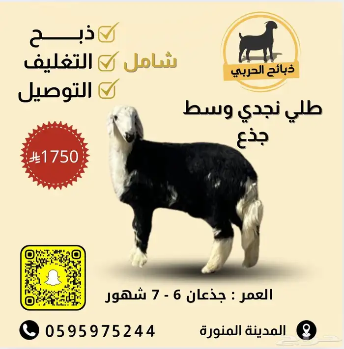 ذبيحتك لباب بيتك 17
