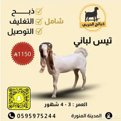ذبيحتك لباب بيتك index