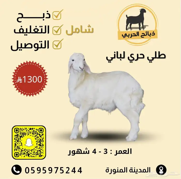 ذبيحتك لباب بيتك 14