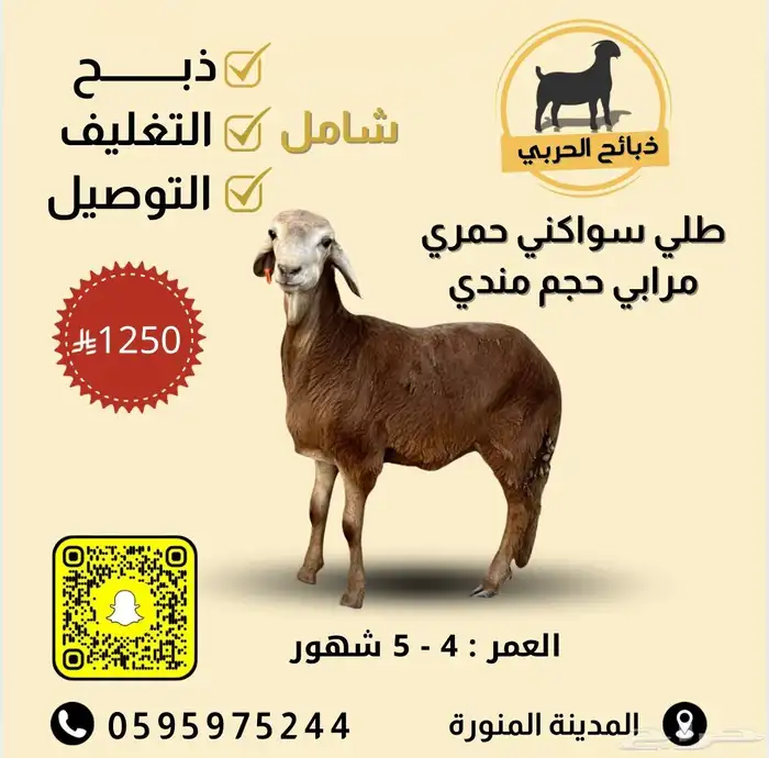 ذبيحتك لباب بيتك 11