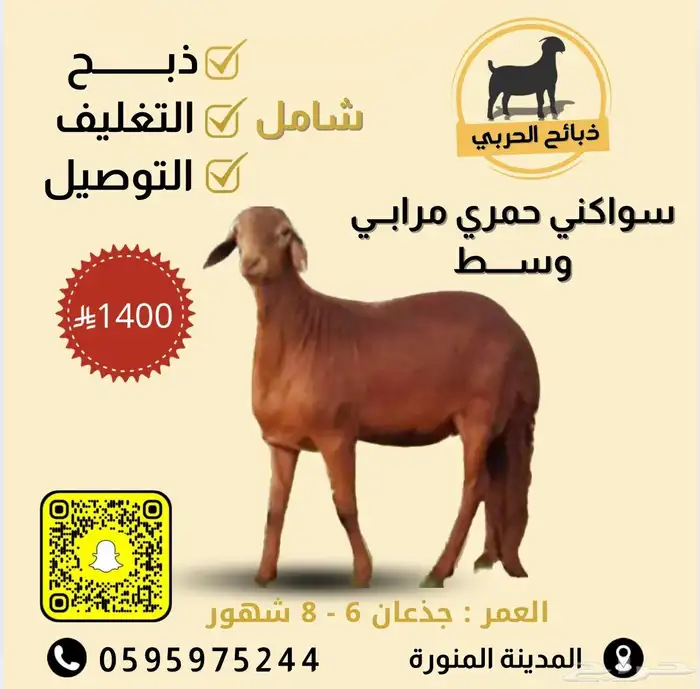 ذبيحتك لباب بيتك 12