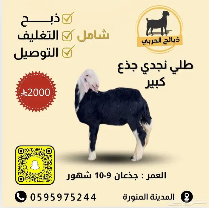 ذبيحتك لباب بيتك 20