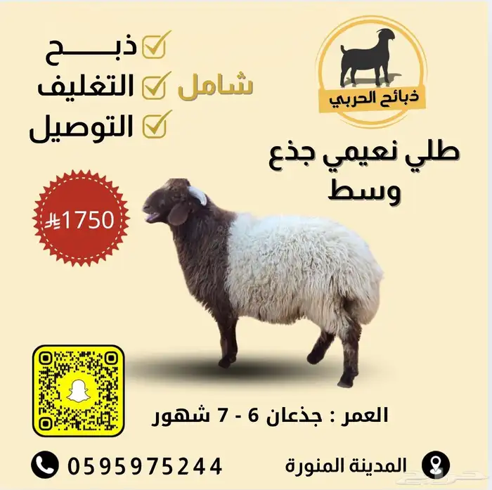 ذبيحتك لباب بيتك 19