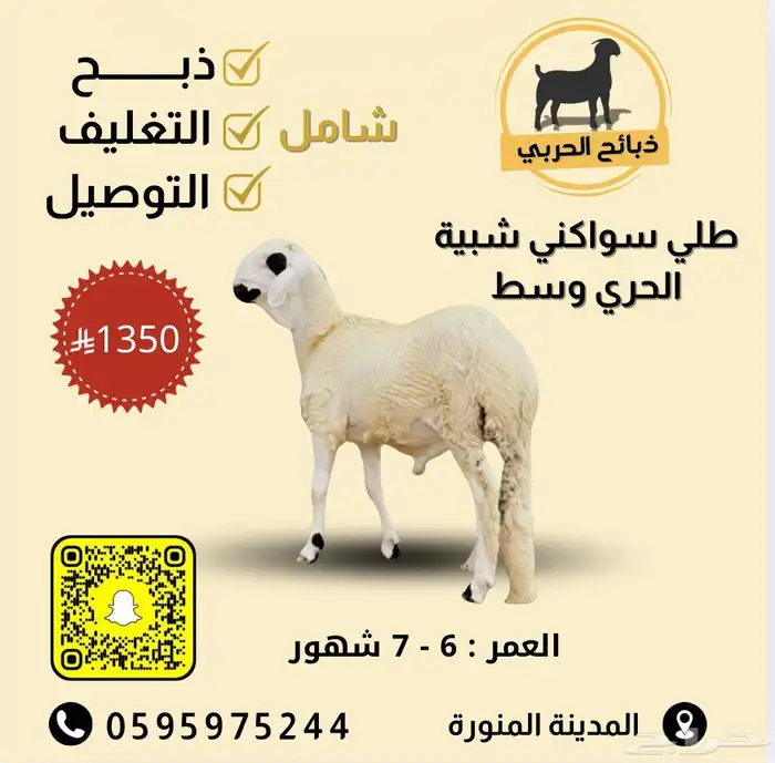 ذبيحتك لباب بيتك 13