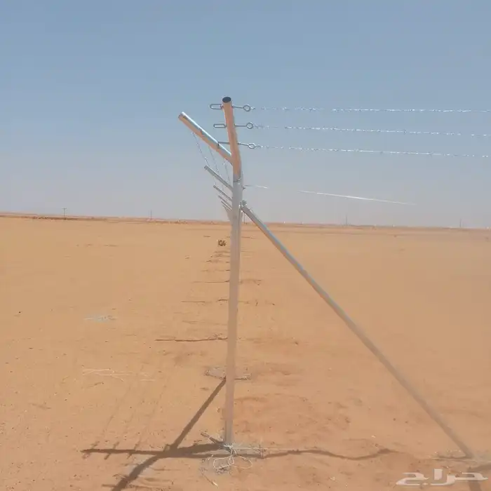 نقوم بتركيب الشبوك ويوجد لدينا نخيل للبيع مثمر 1