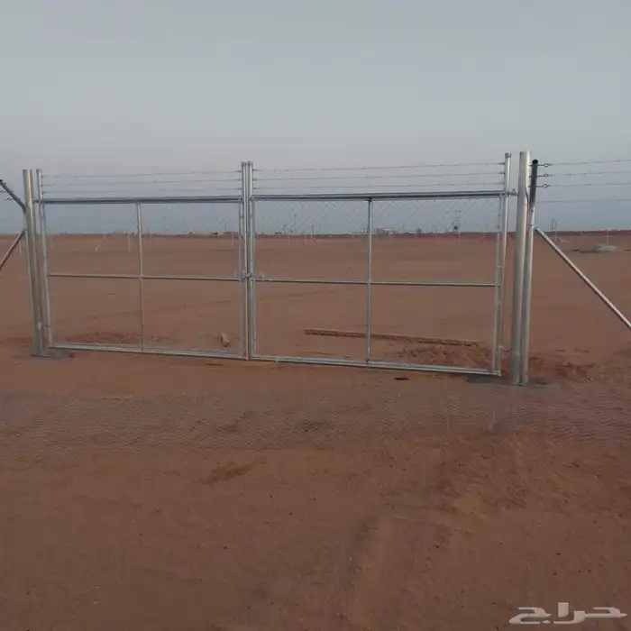 نقوم بتركيب الشبوك ويوجد لدينا نخيل للبيع مثمر 4