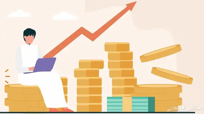 فقط لرواد الاعمال والمستثمرين فرصة مشروع 0