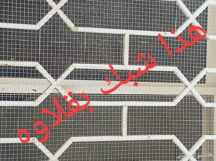 طارد الطيور الحمام 2