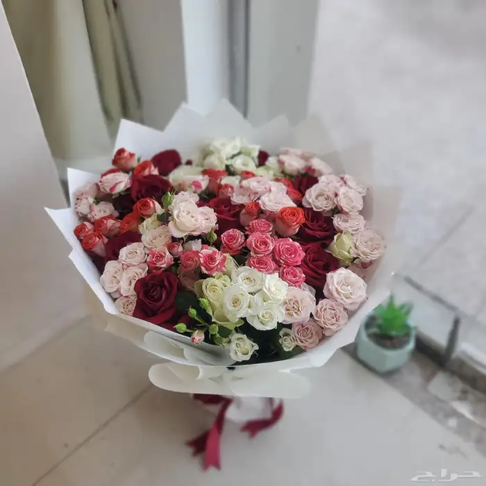 ورد 6