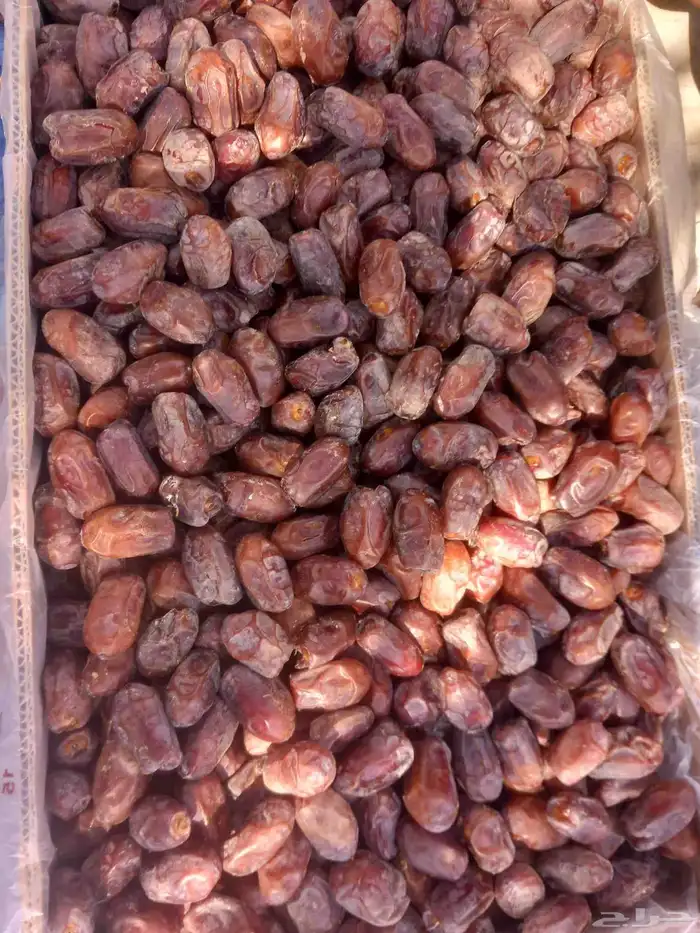 خضري 2