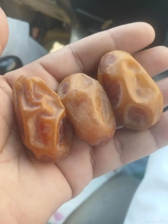 خلاص جامبو فاخر 0