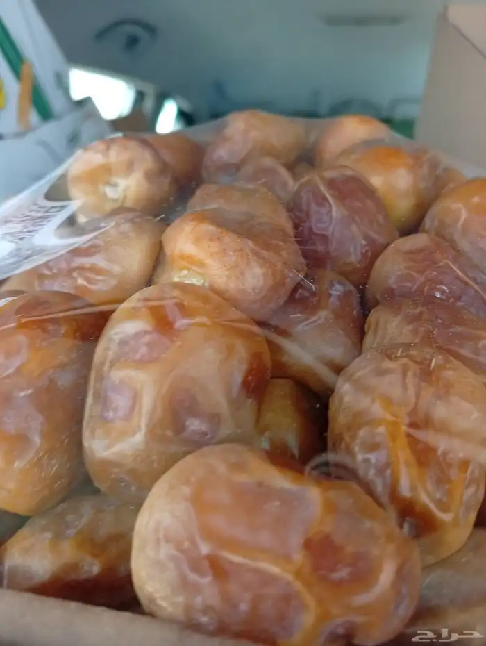 جلكسي مفتل القصيم جديد 1