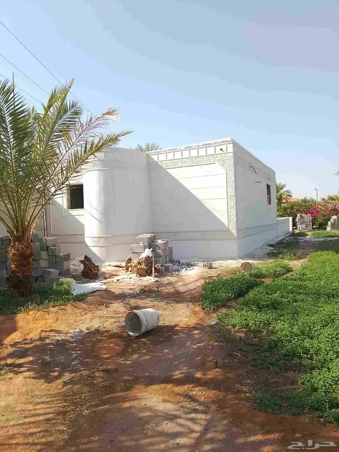 بديل الحجر 3