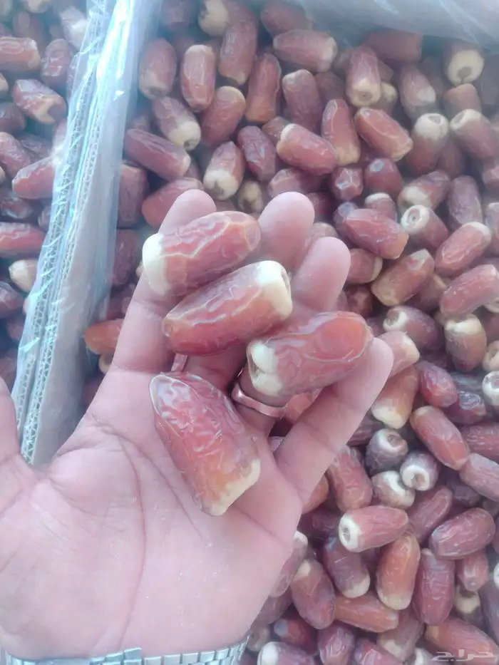 يوجد صقعي طيب على الشرط 6