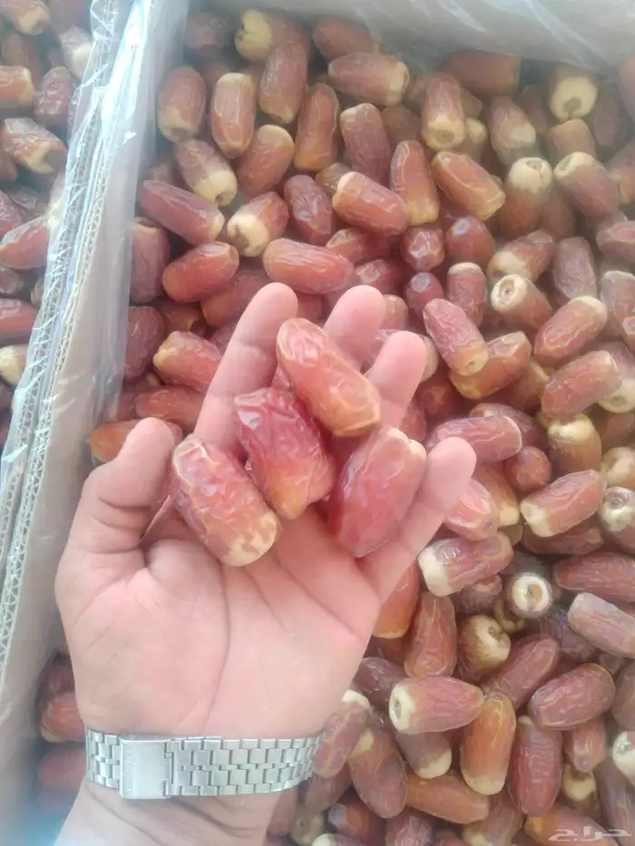 يوجد صقعي طيب على الشرط 2