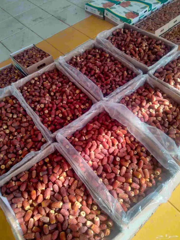 يوجد صقعي طيب على الشرط 8