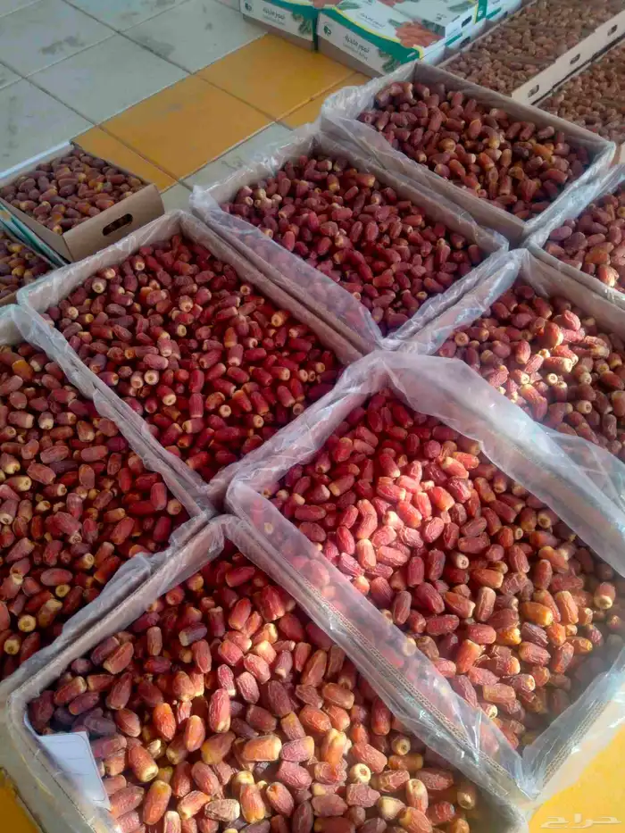 يوجد صقعي طيب على الشرط 0