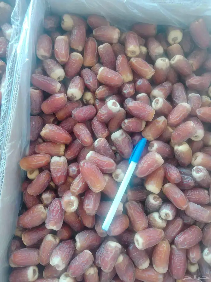 يوجد صقعي طيب على الشرط 1