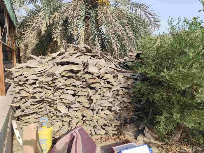 للبيع كرب نخيل للمندي وتدفئة 5