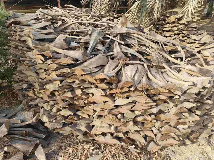 للبيع كرب نخيل للمندي وتدفئة 6