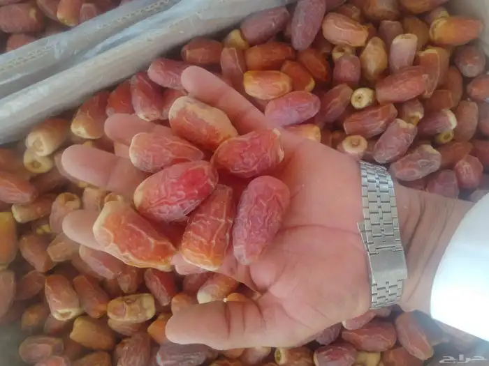 يوجد صقعي طيب على الشرط 3