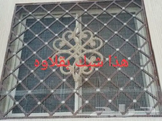 طارد الطيور الحمام 1