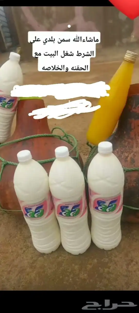 سمن بقر بلدي مضمون 0