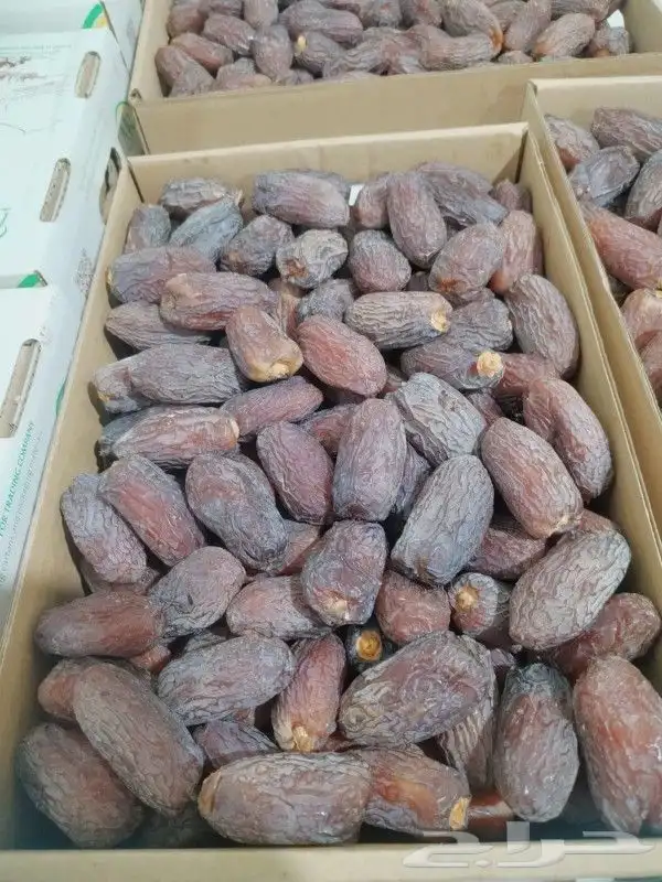 مجدول تمر فاخر توفر 450 كروتون 3 كيلو الموقع الخرج 5