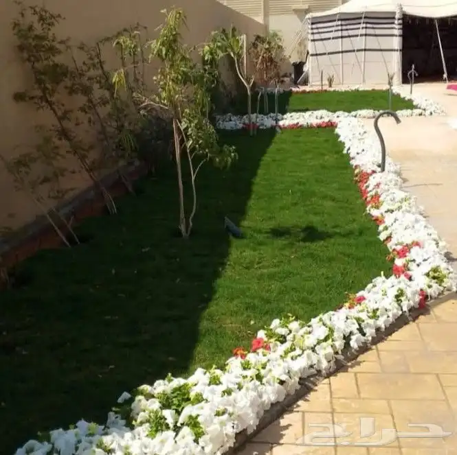 زراعه جميع النباتات 6