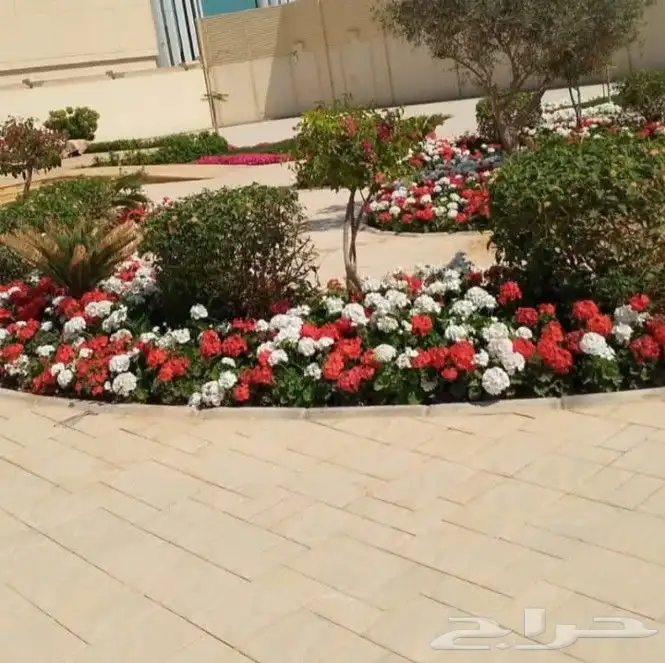 زراعه جميع النباتات 5
