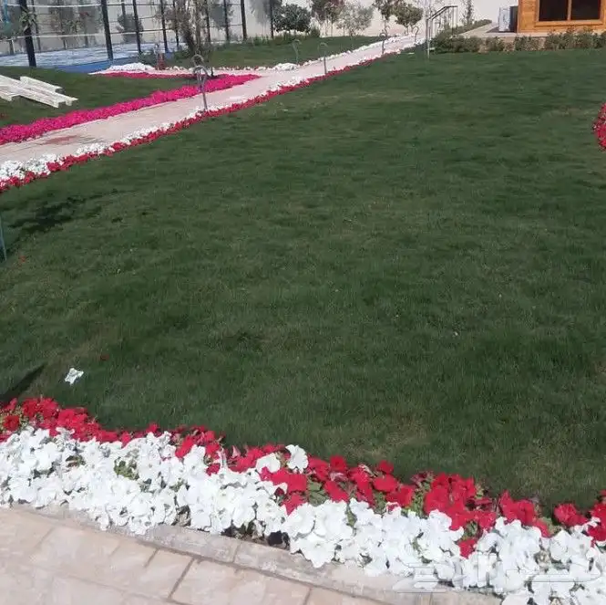 زراعه جميع النباتات 7