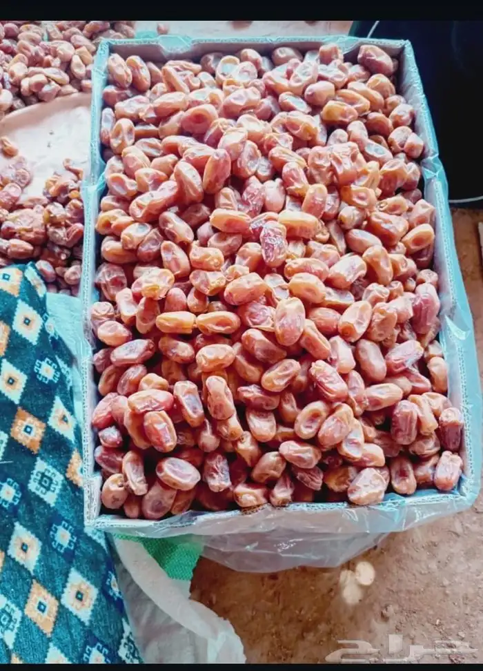 تمر خلاص ملكي فاخر 4