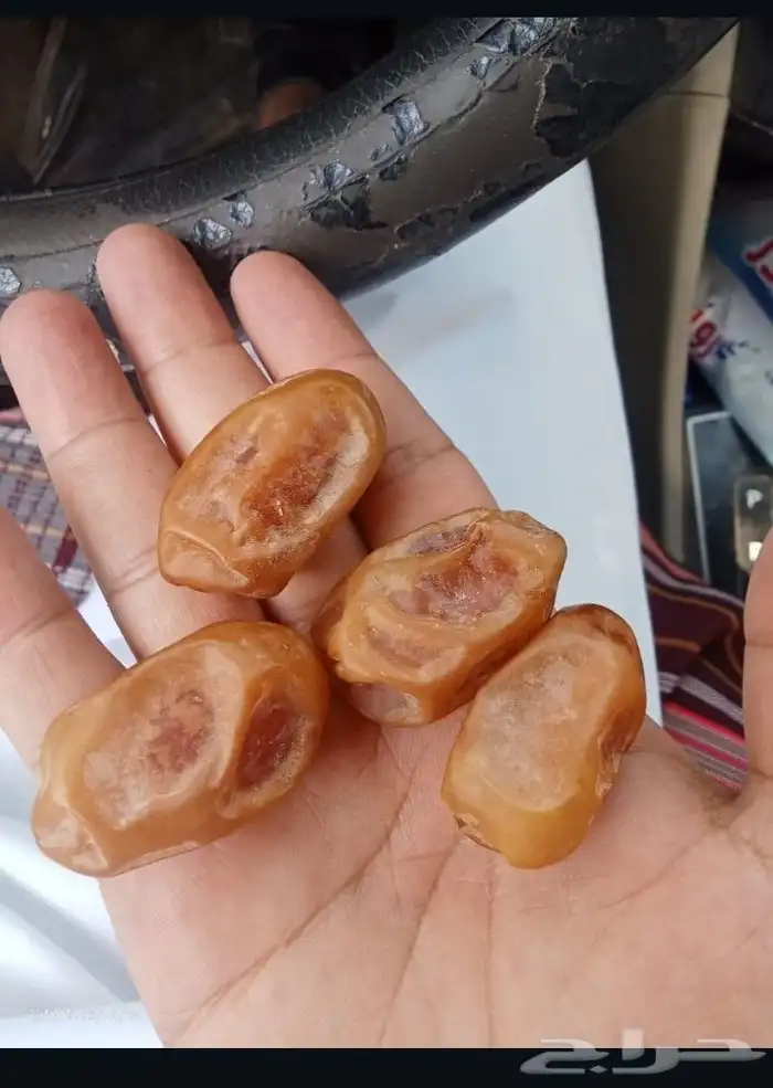 تمر خلاص ملكي فاخر 7