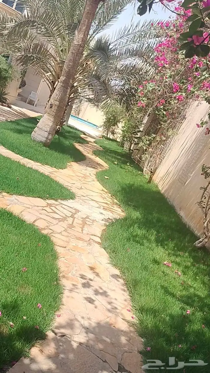 تركيب و بيع عشب طبيعي وزراعته للحدائق والملاعب 5