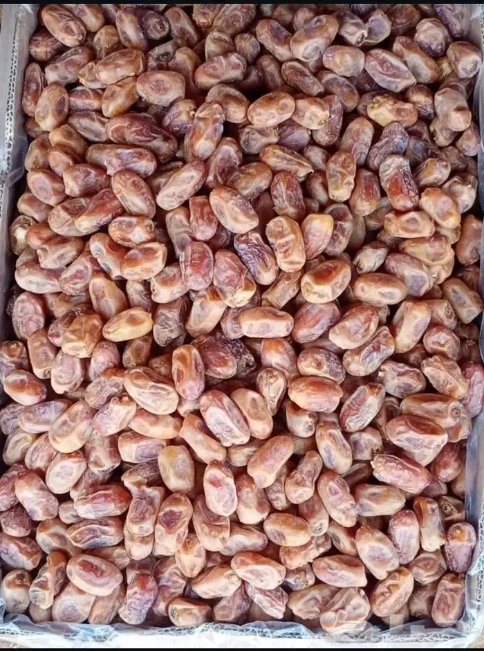 تمر خلاص ملكي فاخر 2