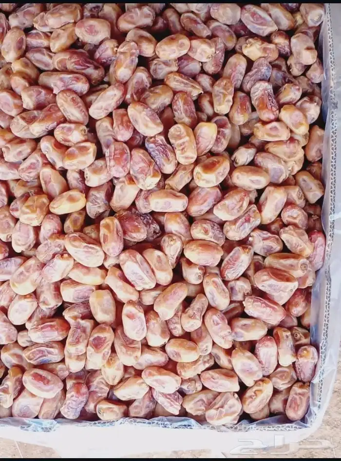 تمر خلاص ملكي فاخر 6
