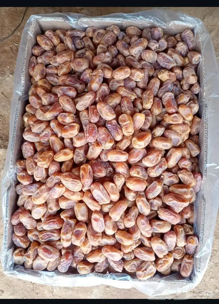 تمر خلاص ملكي فاخر 3