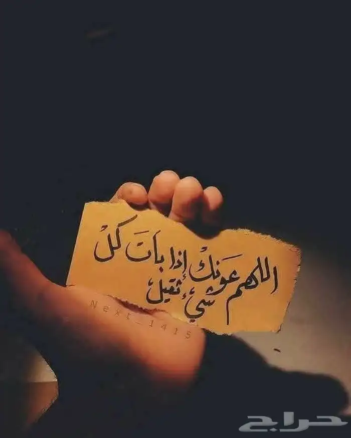 متواجد سواق شيول خبرة 0