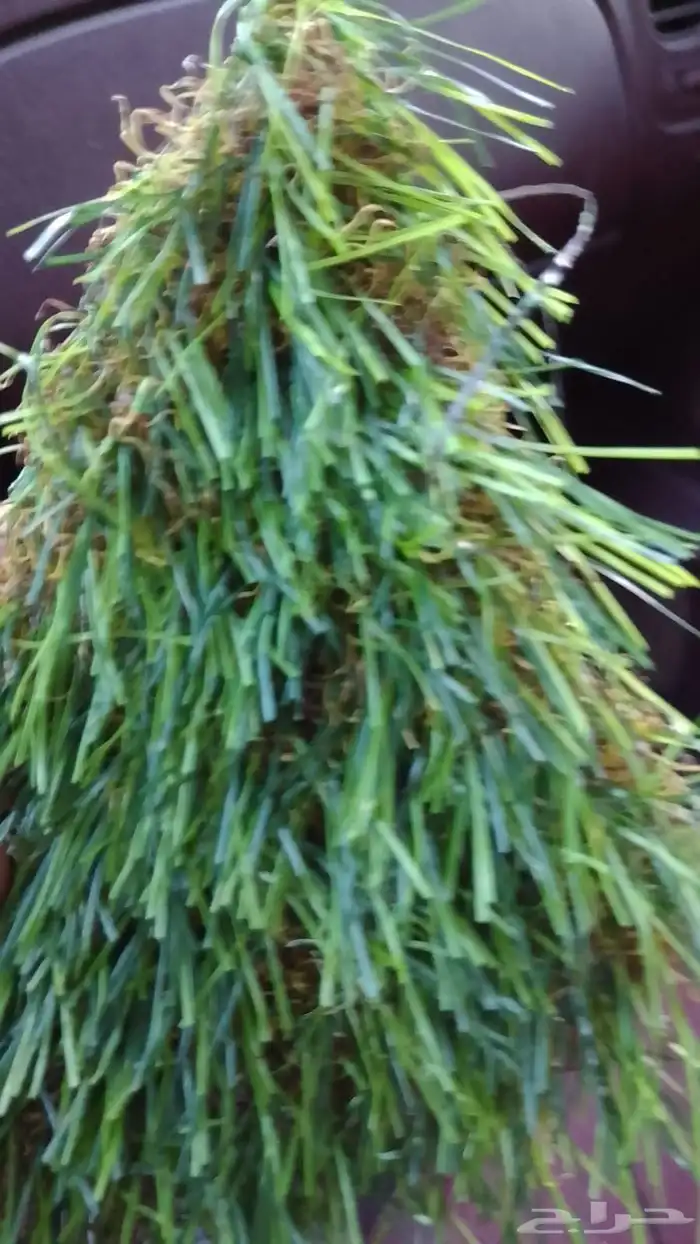 ثيل صناعي لزينه الأسطح 7