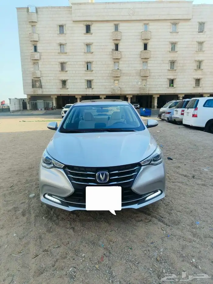 شنجان مديل 2023 8